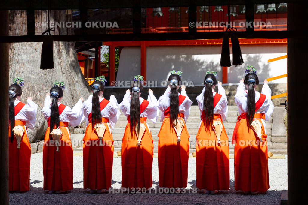 奈良県　春日大社　林檎の庭　御田植神事