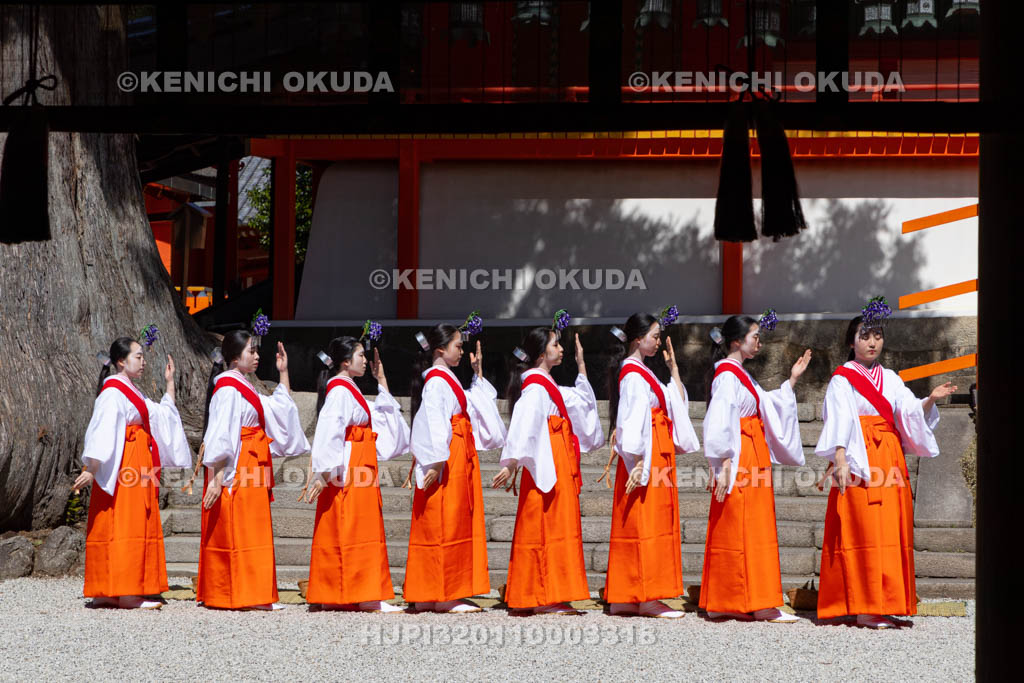 奈良県　春日大社　林檎の庭　御田植神事
