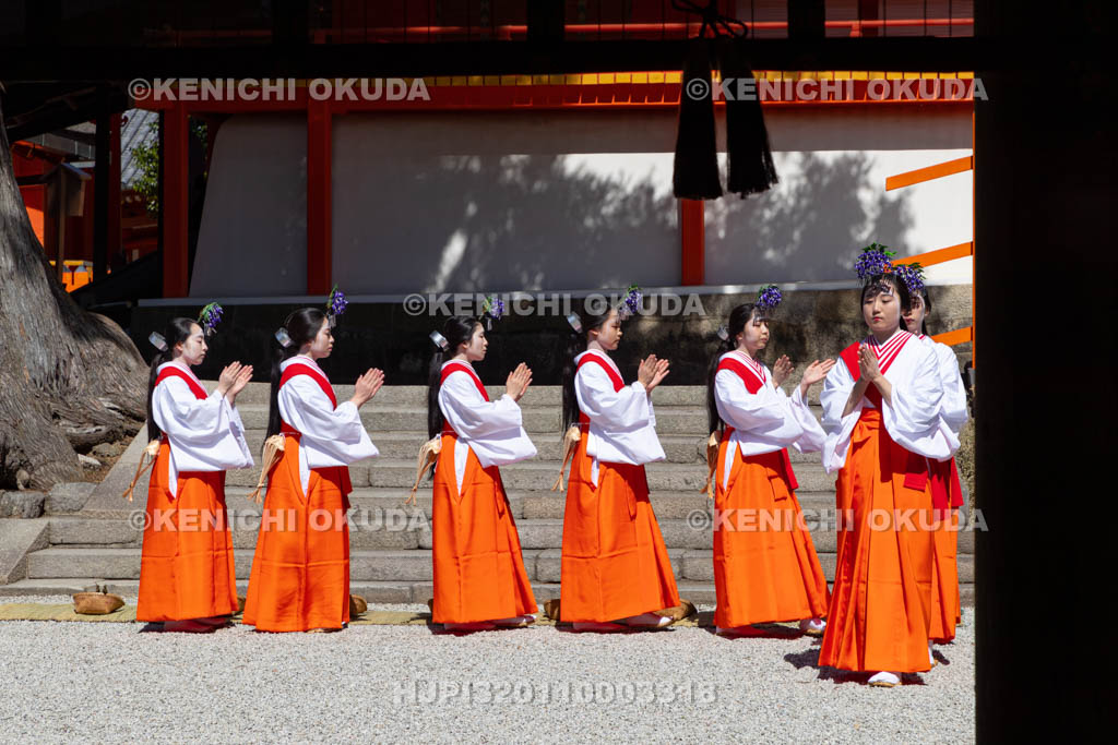 奈良県　春日大社　林檎の庭　御田植神事