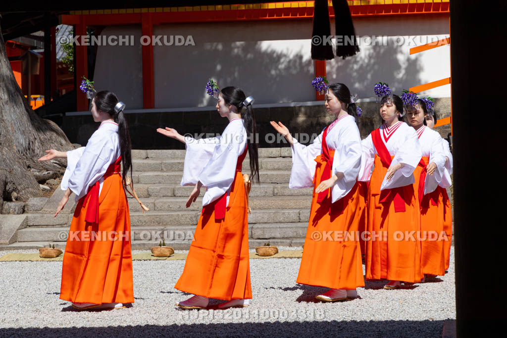 奈良県　春日大社　林檎の庭　御田植神事