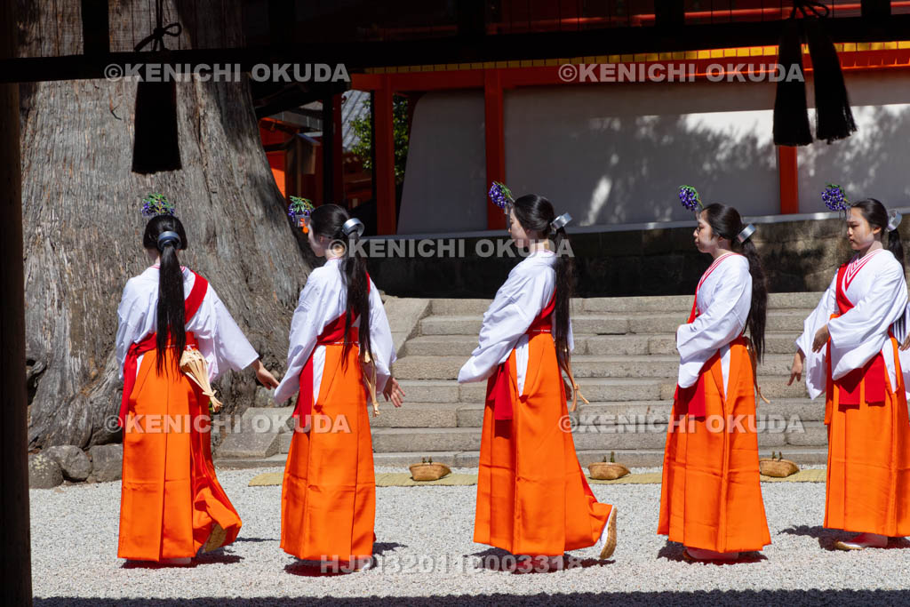 奈良県　春日大社　林檎の庭　御田植神事