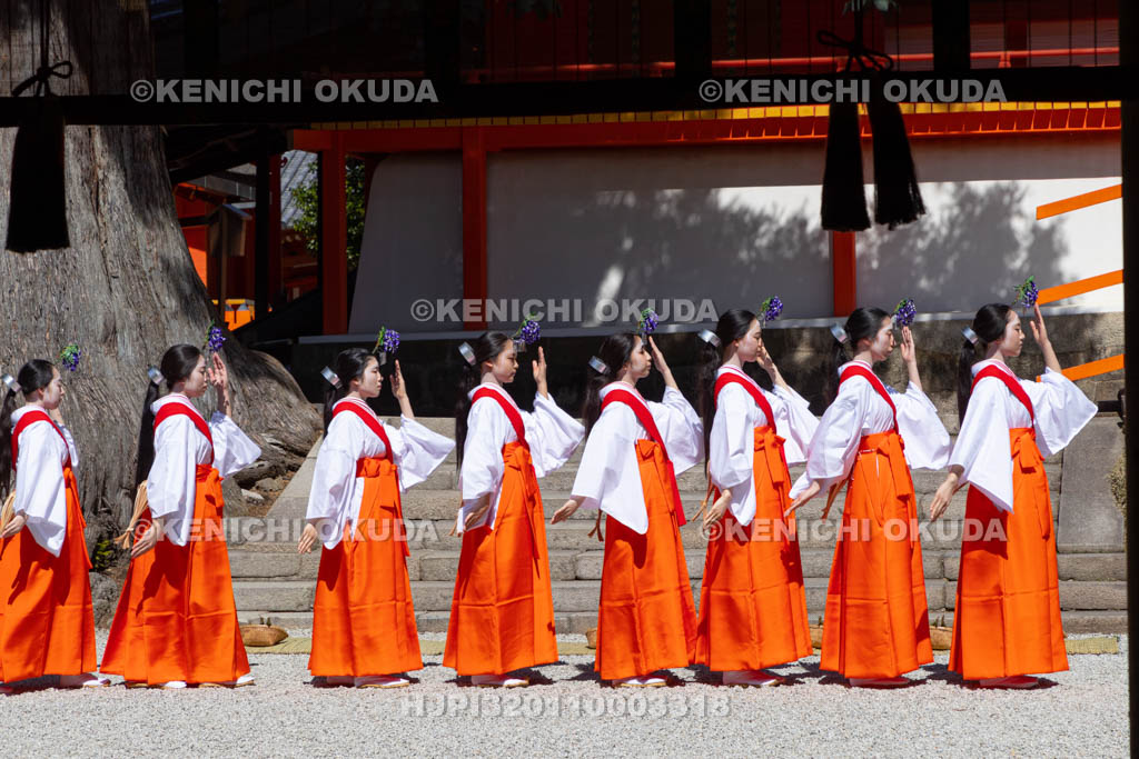 奈良県　春日大社　林檎の庭　御田植神事