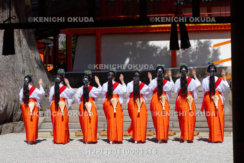 奈良県　春日大社　林檎の庭　御田植神事