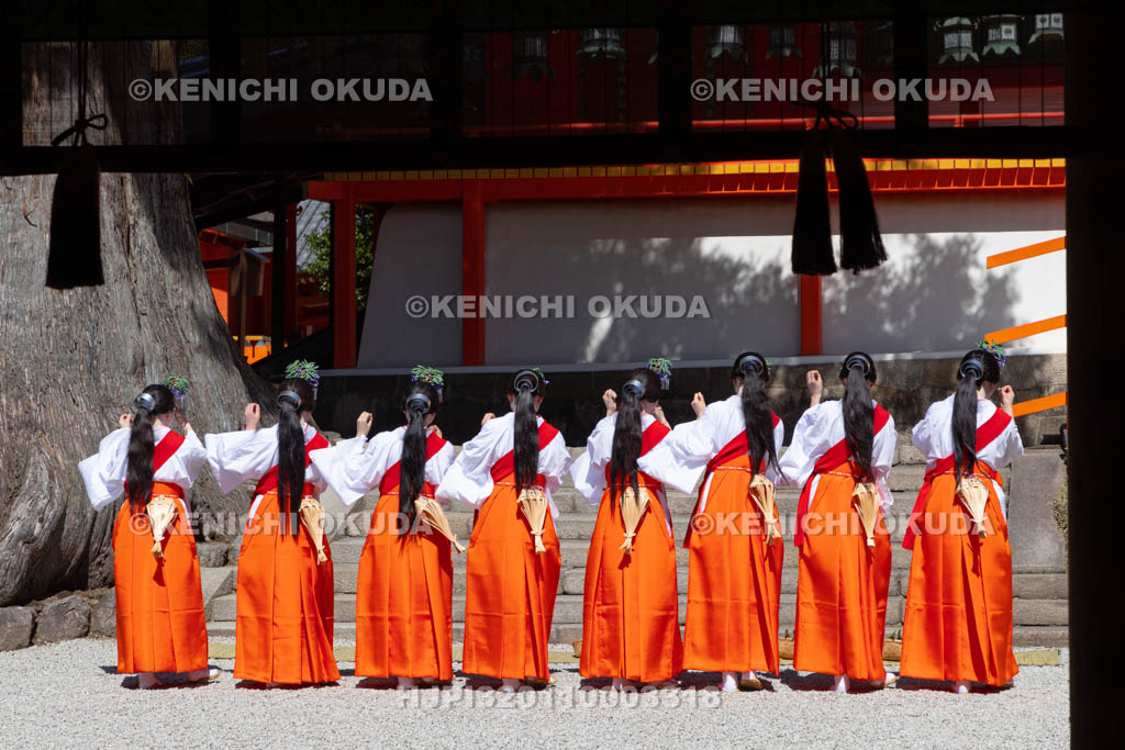 奈良県　春日大社　林檎の庭　御田植神事