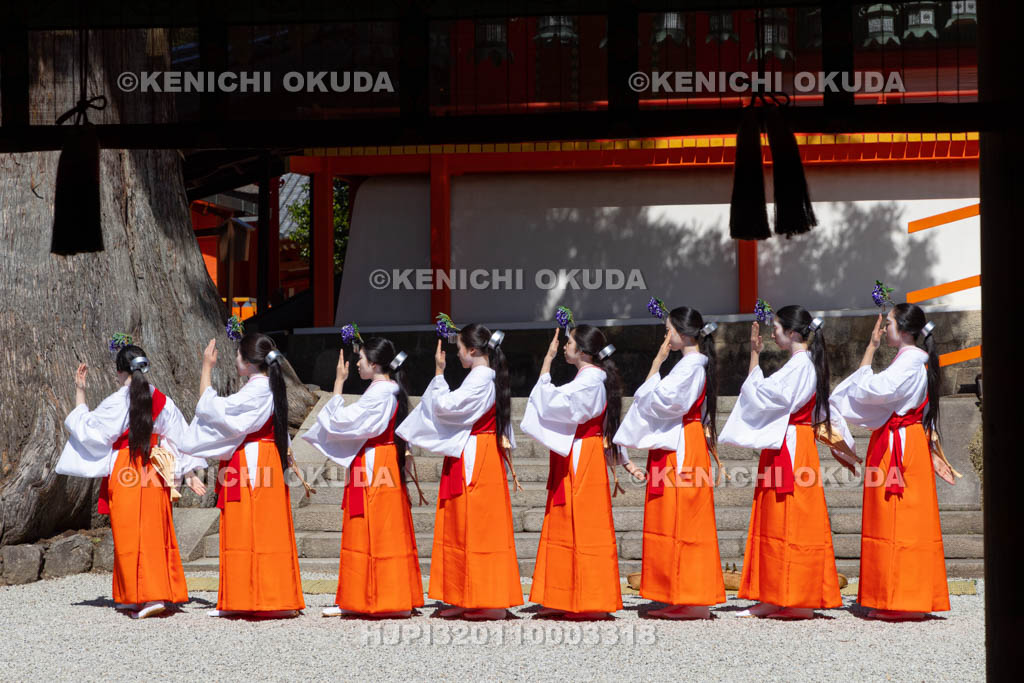 奈良県　春日大社　林檎の庭　御田植神事