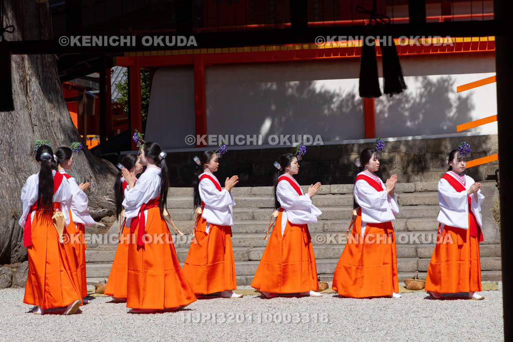 奈良県　春日大社　林檎の庭　御田植神事