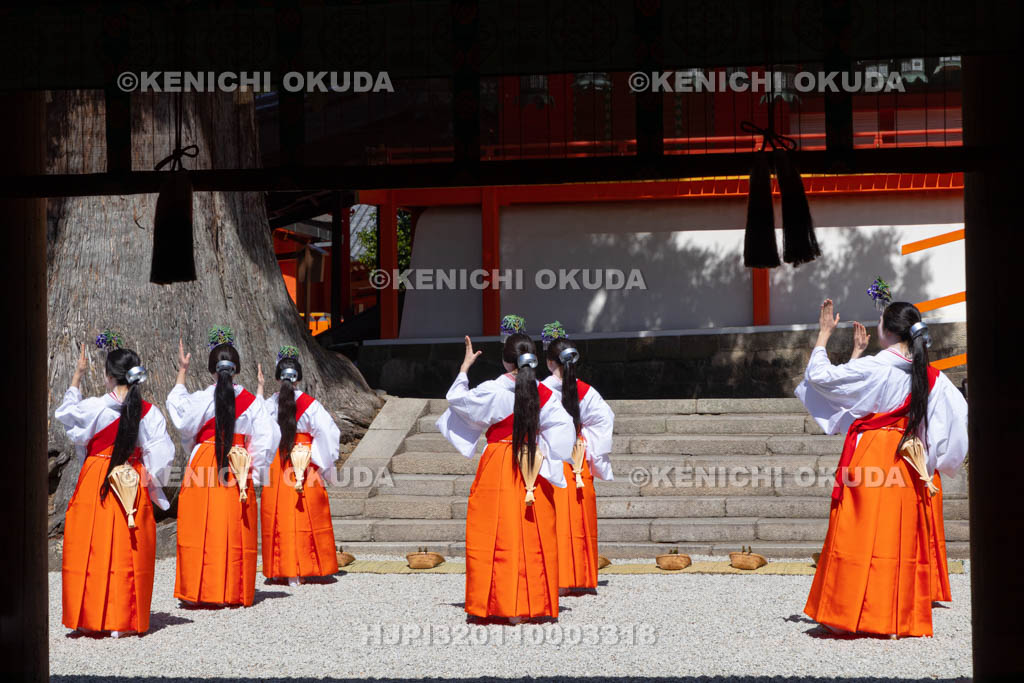 奈良県　春日大社　林檎の庭　御田植神事