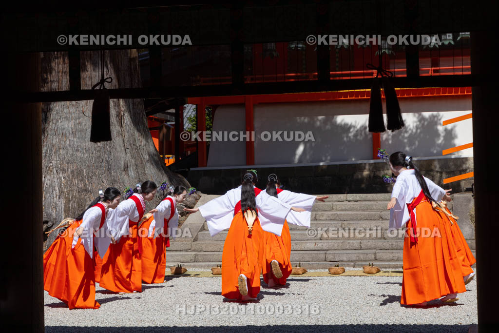 奈良県　春日大社　林檎の庭　御田植神事