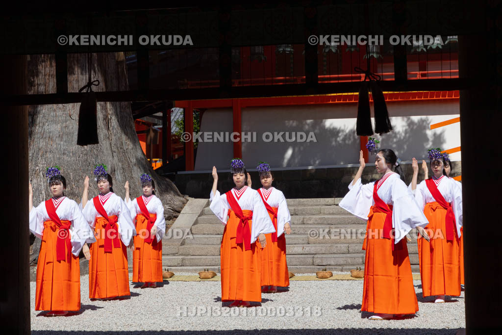 奈良県　春日大社　林檎の庭　御田植神事