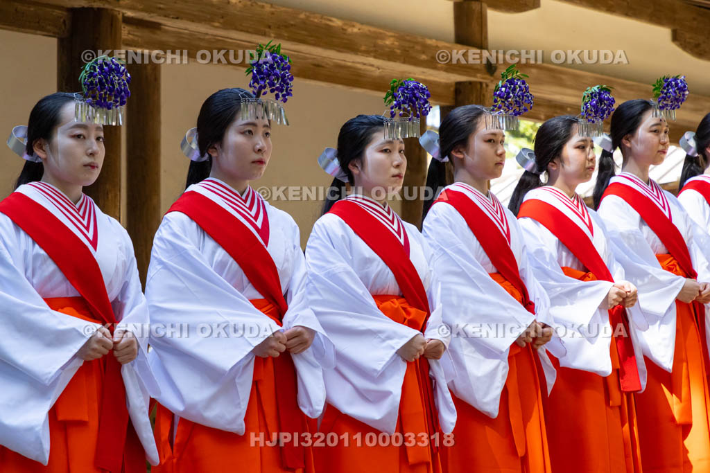 奈良県　春日大社　榎本神社前　御田植神事