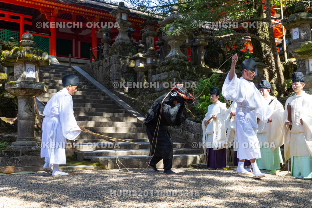奈良県　春日大社　榎本神社前　御田植神事