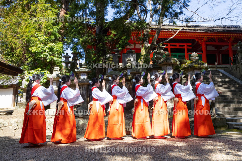 奈良県　春日大社　榎本神社前　御田植神事