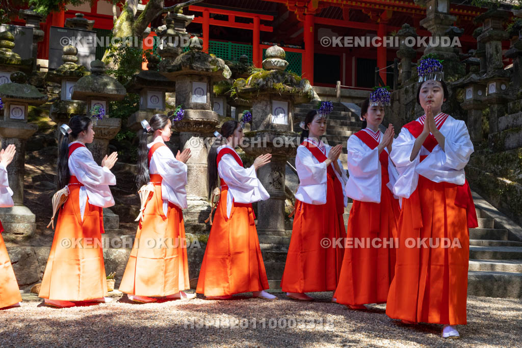奈良県　春日大社　榎本神社前　御田植神事