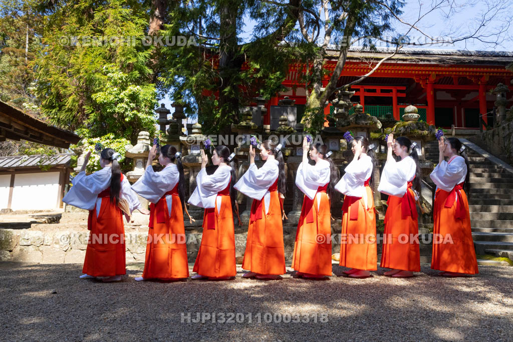 奈良県　春日大社　榎本神社前　御田植神事