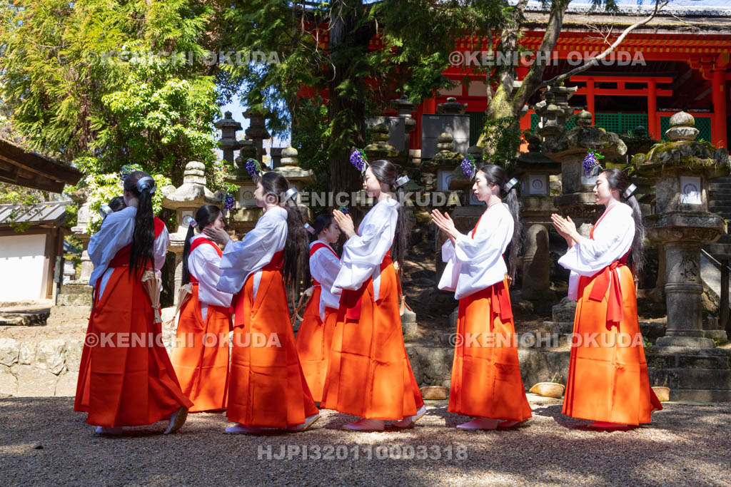 奈良県　春日大社　榎本神社前　御田植神事