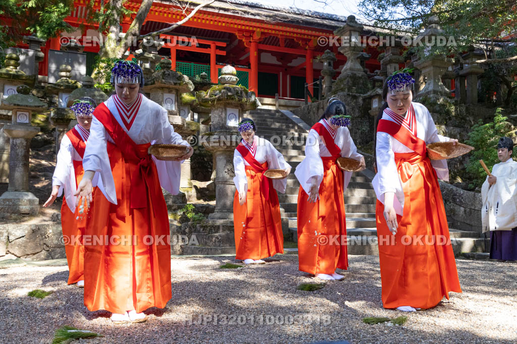 奈良県　春日大社　榎本神社前　御田植神事