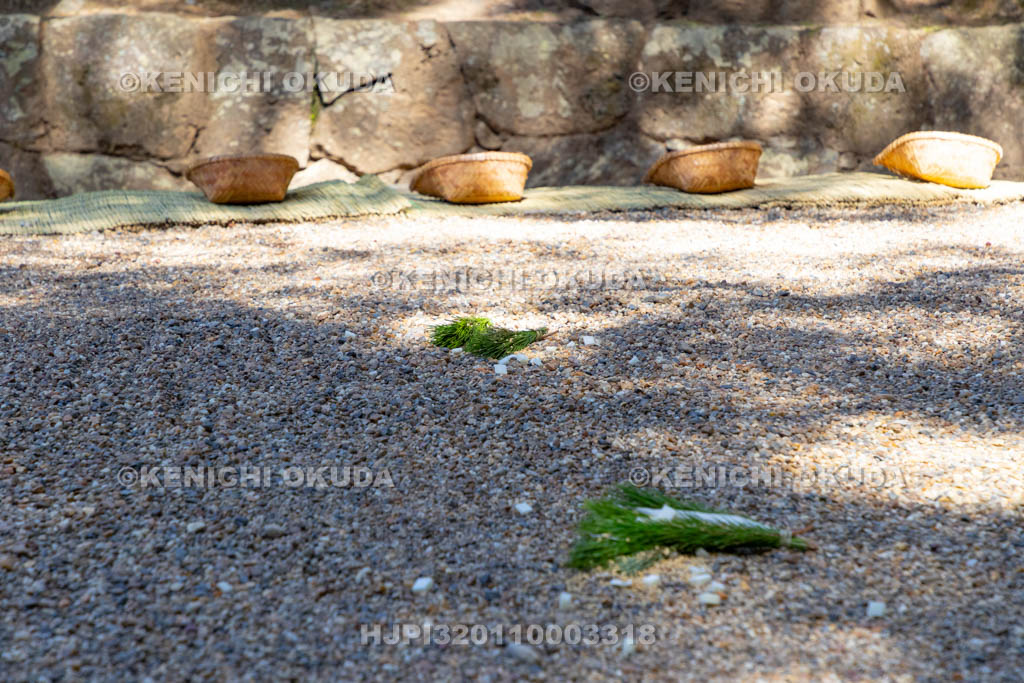 奈良県　春日大社　榎本神社前　御田植神事