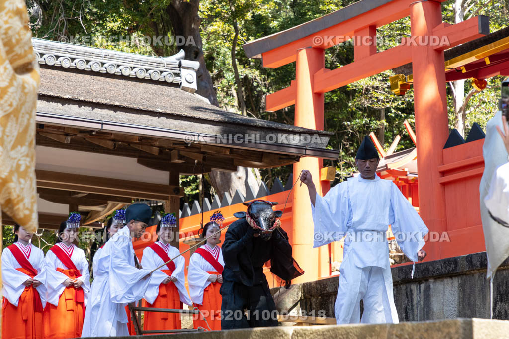 奈良県　春日大社　若宮前　御田植神事