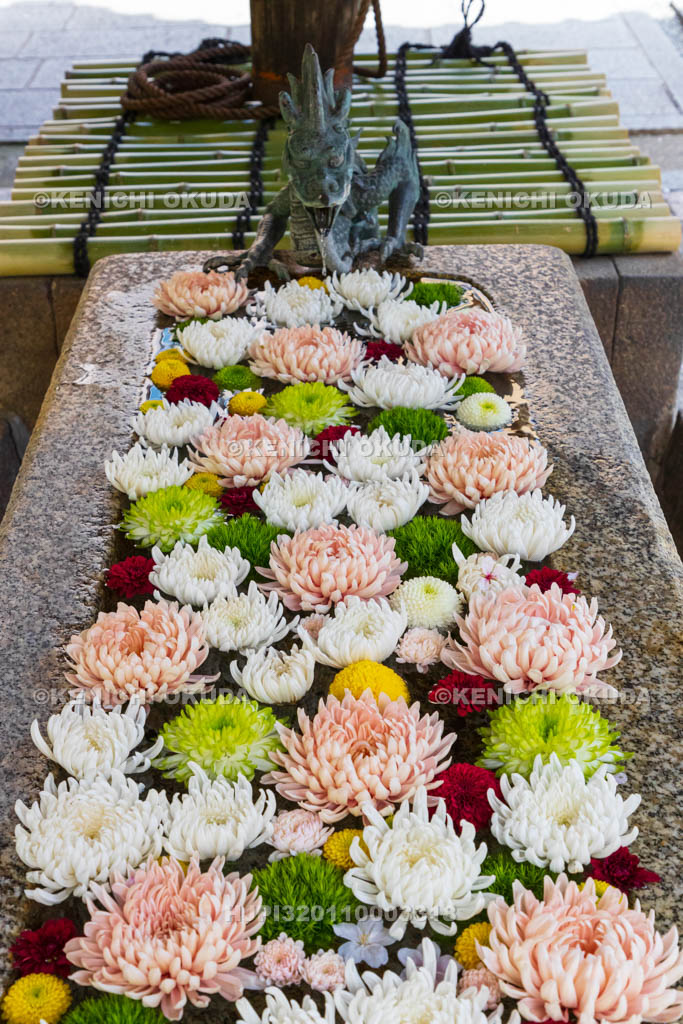 京都府　六角堂頂法寺　花手水