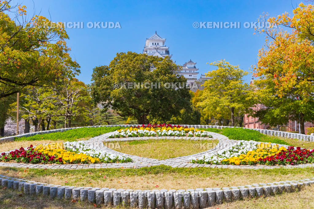 兵庫県　姫路市章の花壇と姫路城