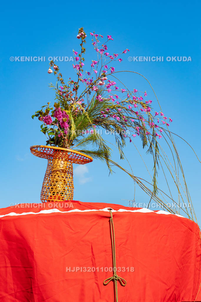 京都府　玄武神社　やすらい祭　花傘