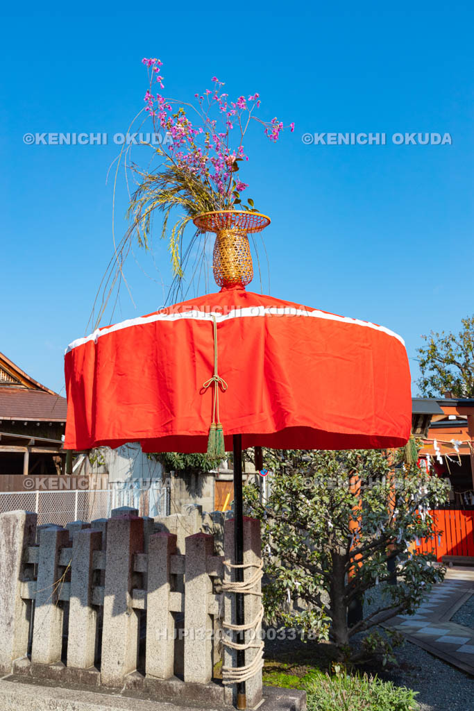 京都府　玄武神社　やすらい祭　花傘