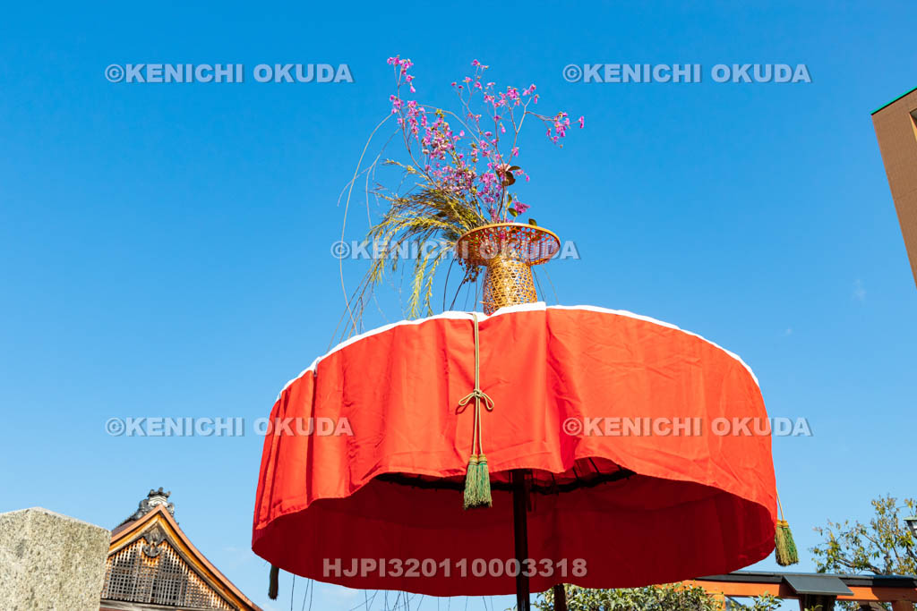京都府　玄武神社　やすらい祭　花傘