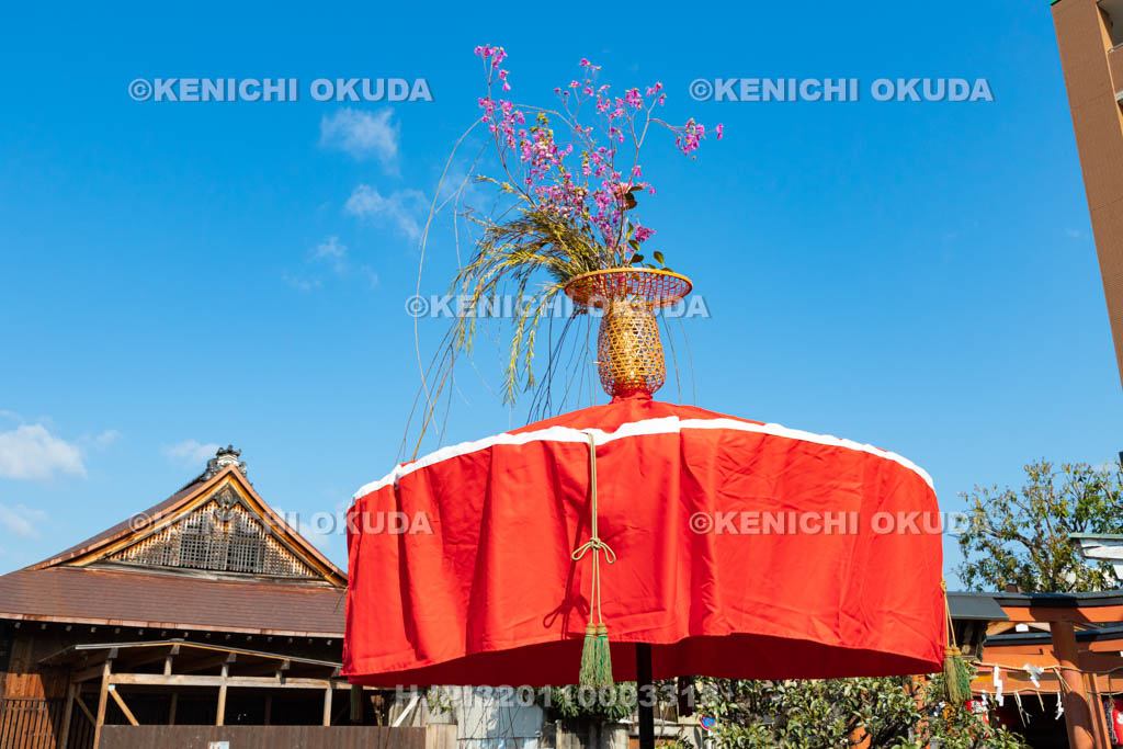 京都府　玄武神社　やすらい祭　花傘