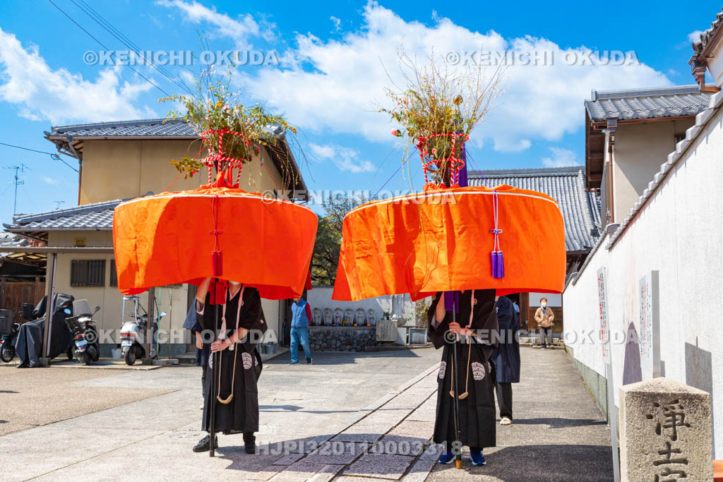 京都府　今宮神社　やすらい祭　花傘