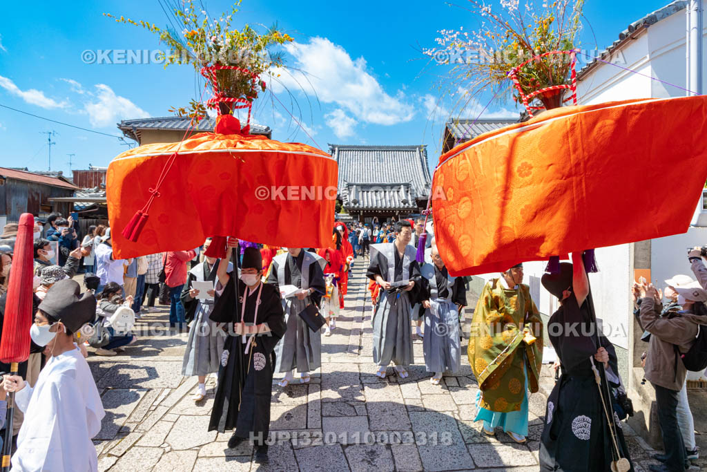 京都府　今宮神社　やすらい祭　花傘