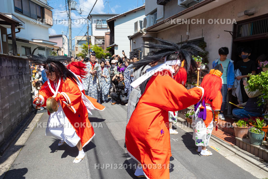 京都府　今宮神社　やすらい祭　やすらい踊り
