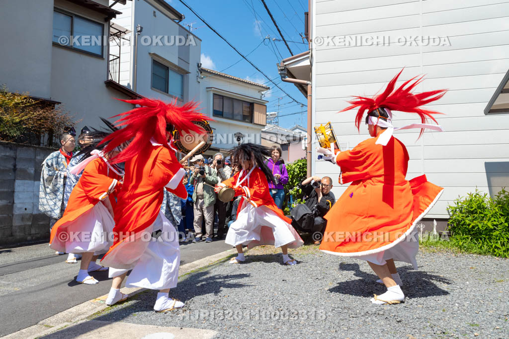京都府　今宮神社　やすらい祭　やすらい踊り