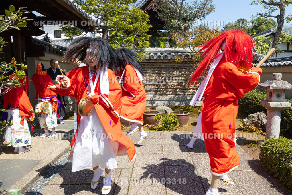 京都府　今宮神社　やすらい祭　やすらい踊り