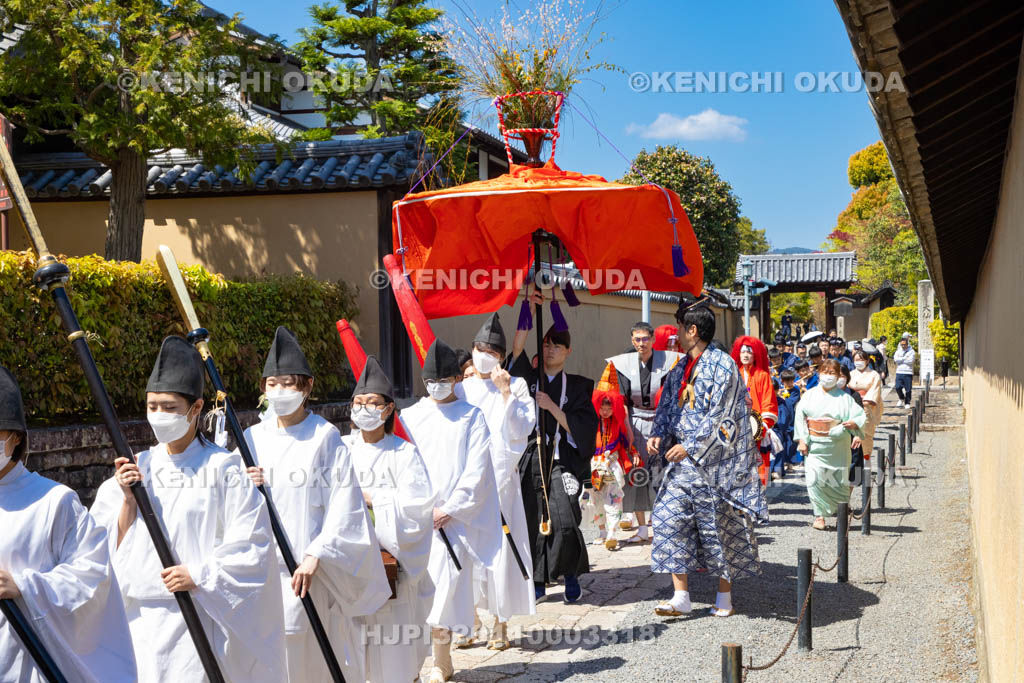 京都府　今宮神社　やすらい祭