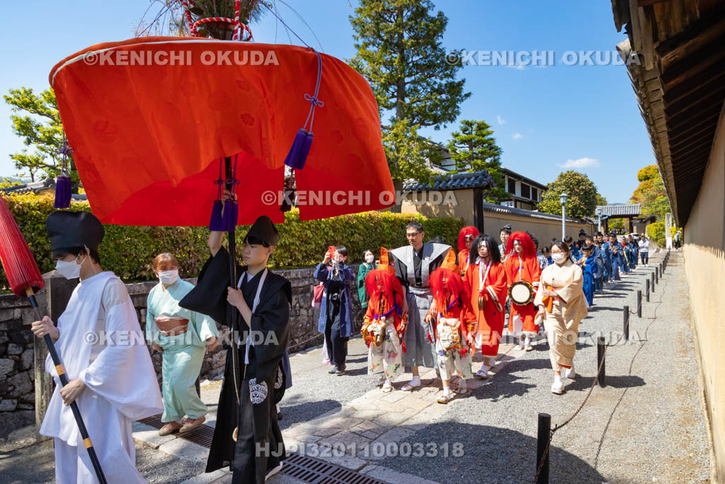 京都府　今宮神社　やすらい祭