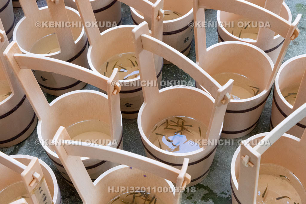 奈良県　興福寺　放生会　放される魚（モツゴ）