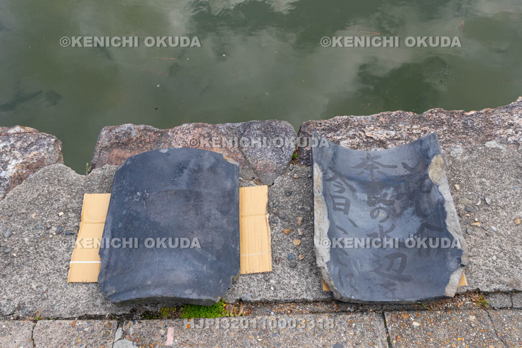 奈良県　興福寺　放生会