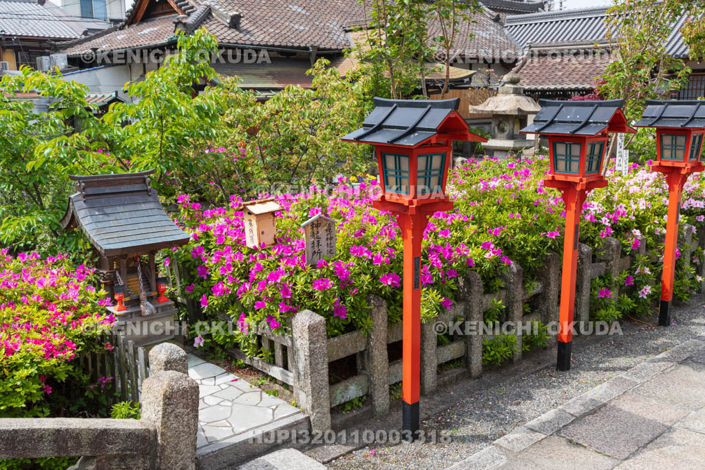 京都府　ツツジ咲く六孫王神社　神龍拝所付近