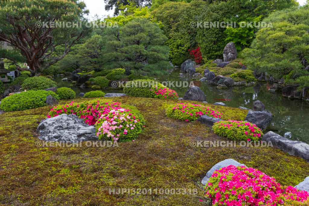 京都府　城南宮　ツツジ咲く神苑　室町の庭