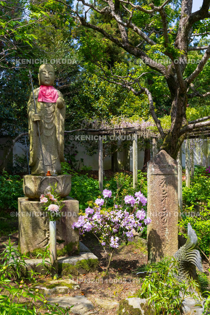 奈良県　石光寺　ツツジと地蔵菩薩像