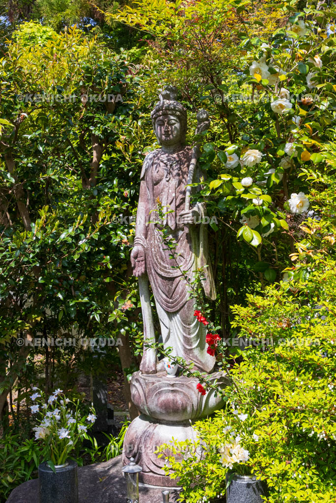 奈良県　春の石光寺