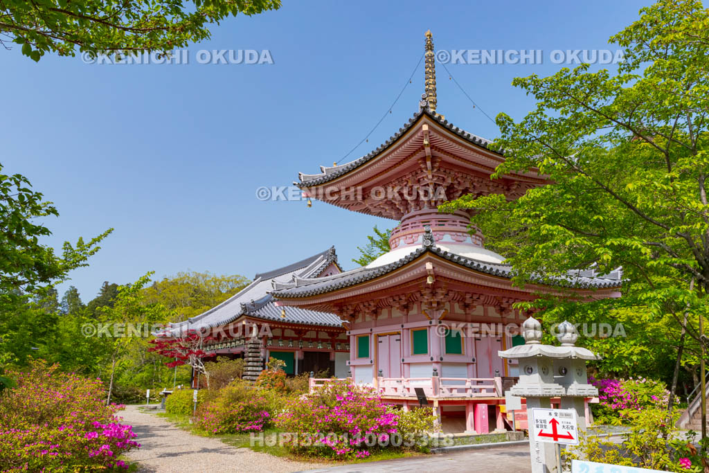 奈良県　壷阪寺（南法華寺）　多宝塔と灌頂堂