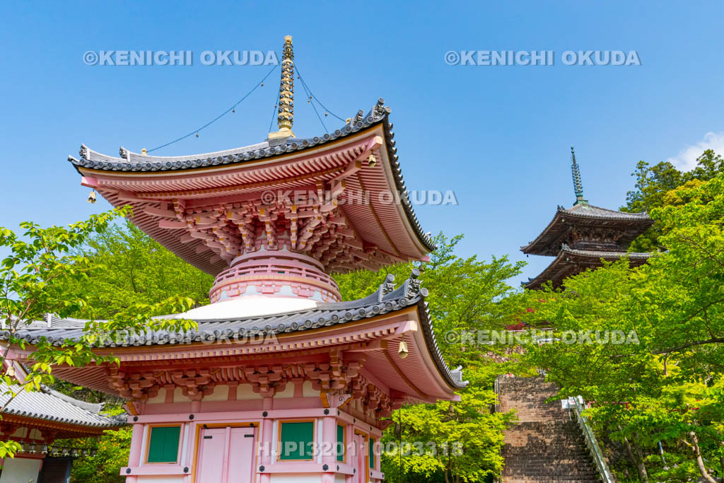 奈良県　壷阪寺（南法華寺）　多宝塔と三重塔（重文）