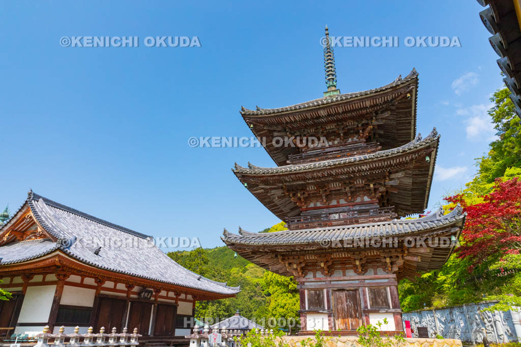 奈良県　壷阪寺（南法華寺）　三重塔（重文）と礼堂（重文）
