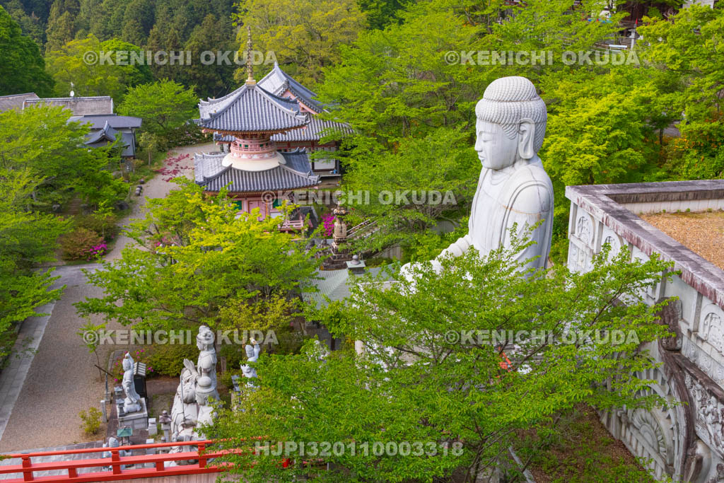 奈良県　壷阪寺（南法華寺）境内　天竺渡来大釈迦如来石像・多宝塔ほか