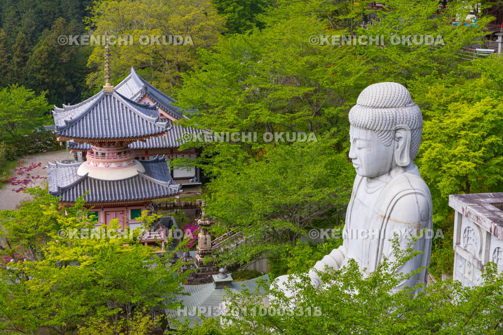 奈良県　壷阪寺（南法華寺）境内　天竺渡来大釈迦如来石像・多宝塔ほか