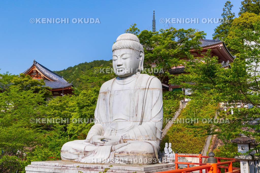 奈良県　壷阪寺（南法華寺）境内　天竺渡来大釈迦如来石像