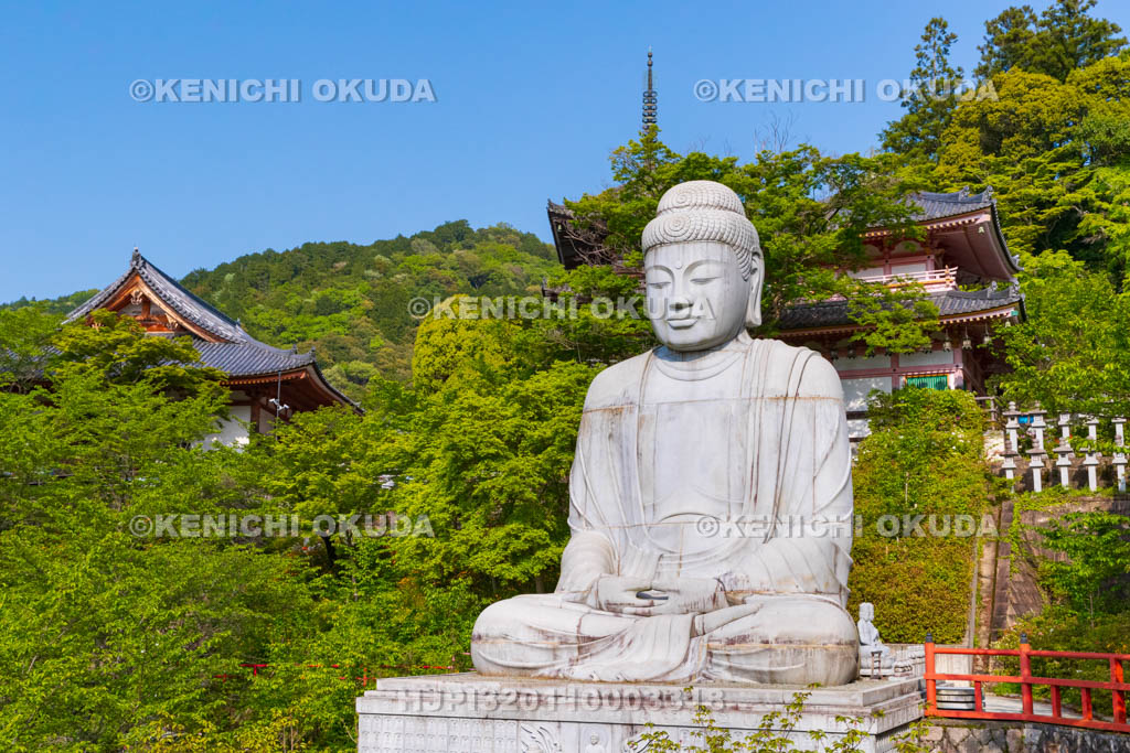 奈良県　壷阪寺（南法華寺）境内　天竺渡来大釈迦如来石像