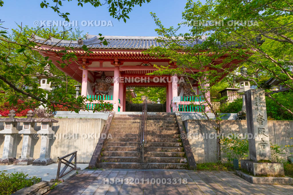 奈良県　壷阪寺（南法華寺）　仁王門