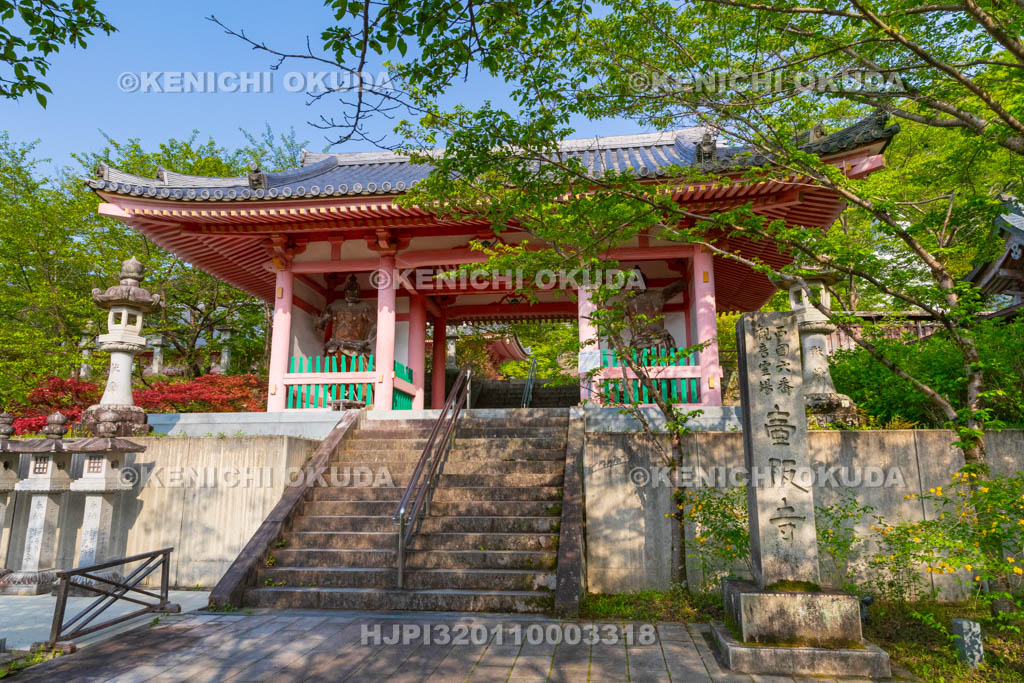 奈良県　壷阪寺（南法華寺）　仁王門